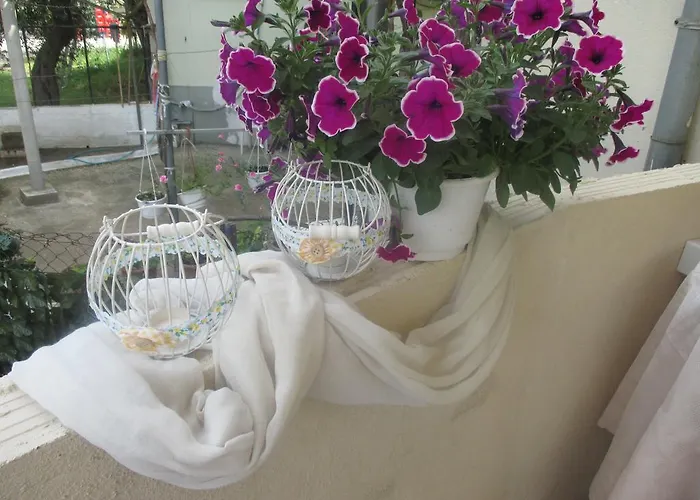 펜션 Selene's House